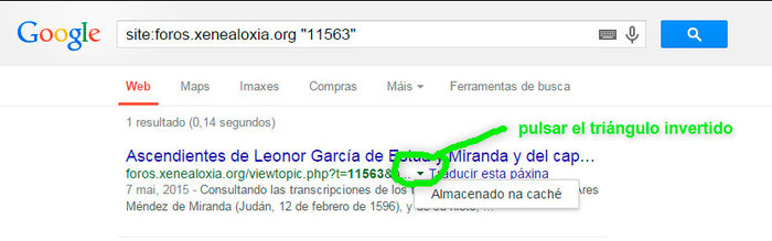 Búsqueda por términos en la caché de Google